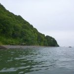 hro1.de-Ruegen-Kreidefelsen-466