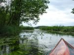 Küstrinchener-Bach p1000978