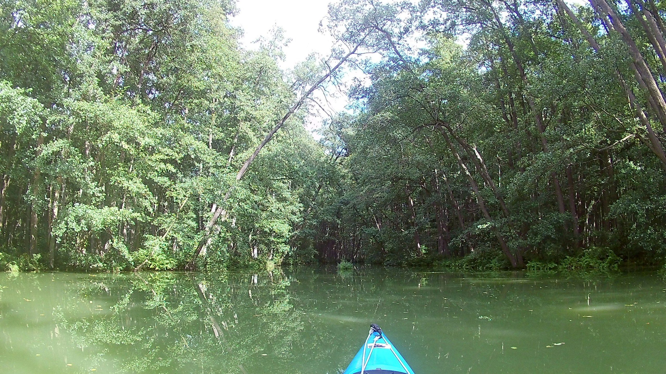 Kyritzer-Seenplatte-Staudamm-103
