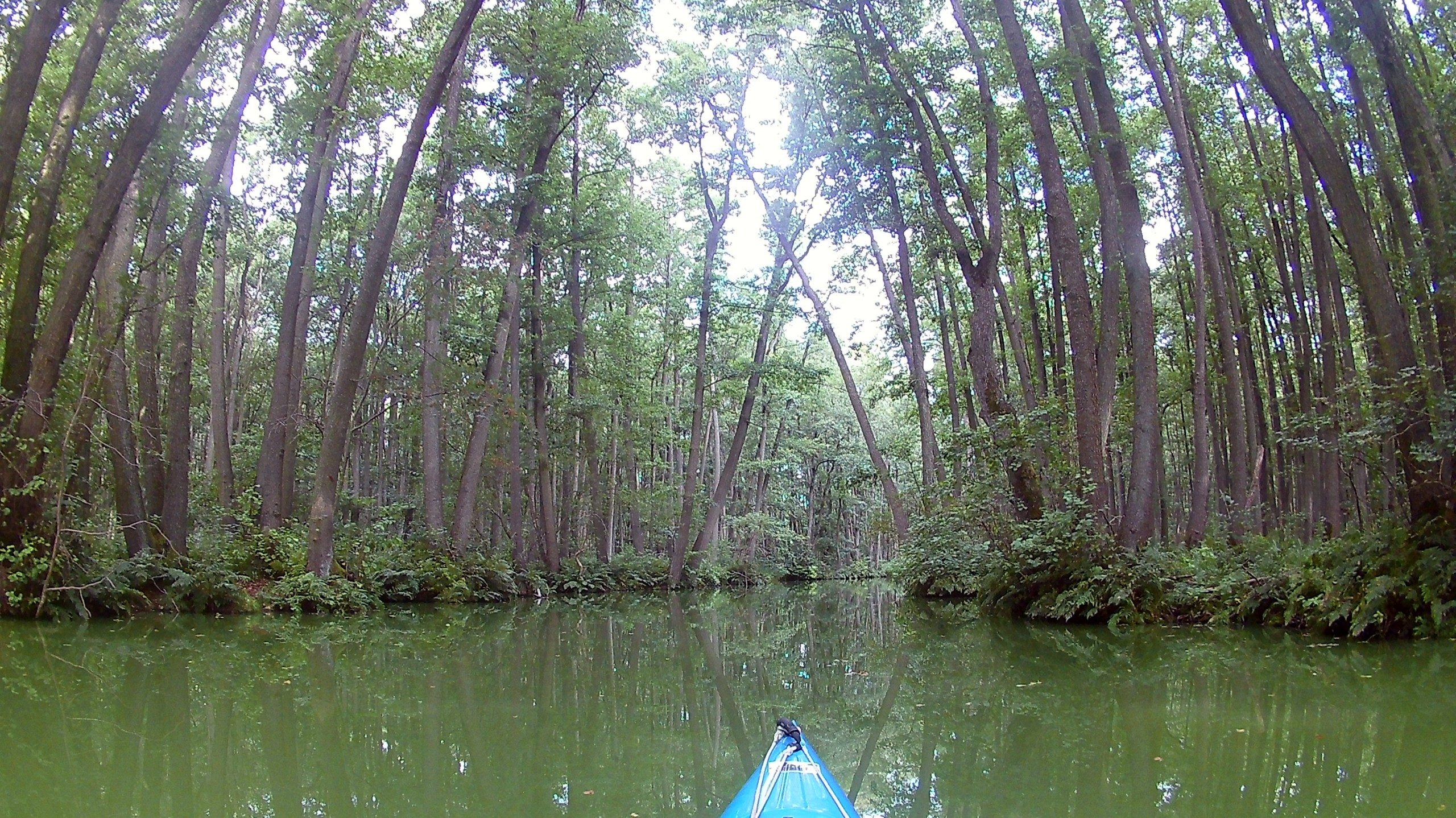 Kyritzer-Seenplatte-Staudamm-104