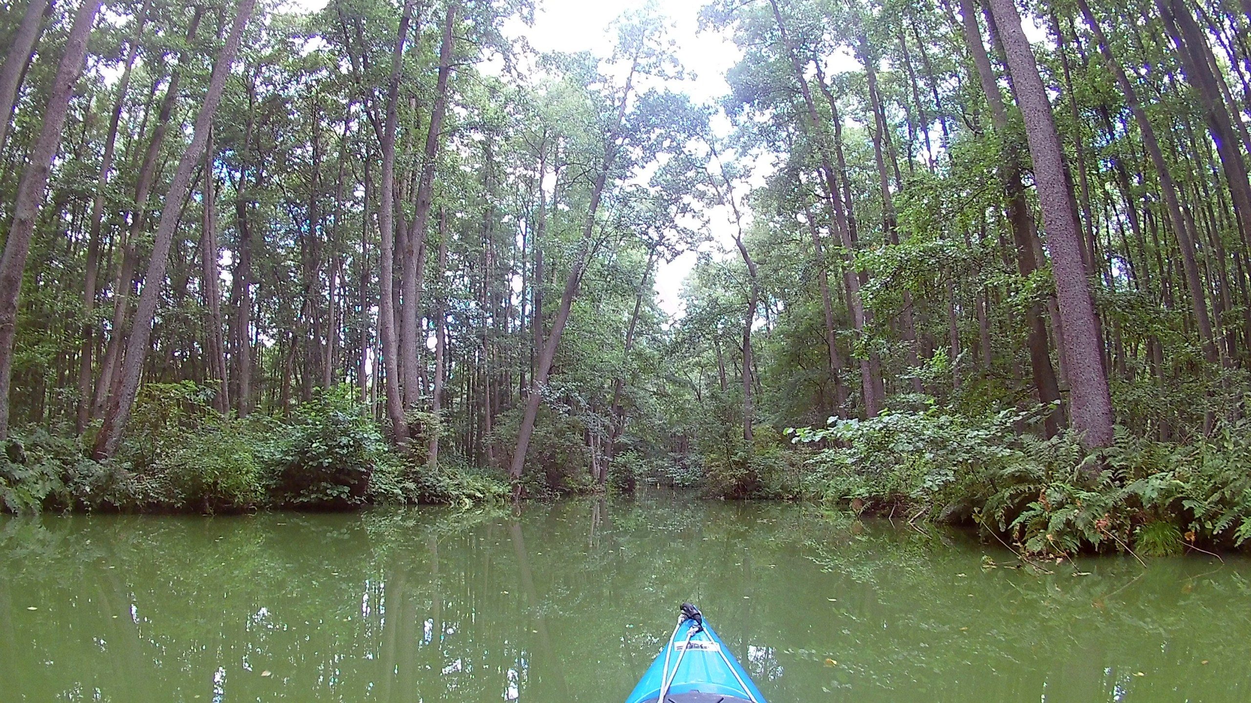 Kyritzer-Seenplatte-Staudamm-105