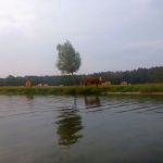 Malchow-Fleesensee-Kölpinsee-011