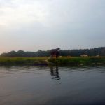 Malchow-Fleesensee-Kölpinsee-013
