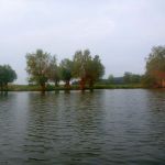 Malchow-Fleesensee-Kölpinsee-023