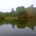 Malchow-Fleesensee-Kölpinsee-027