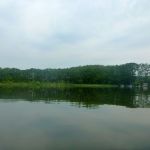 Malchow-Fleesensee-Kölpinsee-058