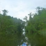 Malchow-Fleesensee-Kölpinsee-060