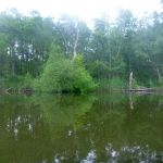 Malchow-Fleesensee-Kölpinsee-061