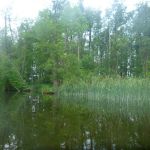 Malchow-Fleesensee-Kölpinsee-062