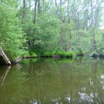 Malchow-Fleesensee-Kölpinsee-064