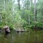 Malchow-Fleesensee-Kölpinsee-065