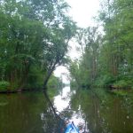Malchow-Fleesensee-Kölpinsee-066