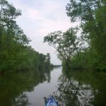 Malchow-Fleesensee-Kölpinsee-068