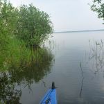 Malchow-Fleesensee-Kölpinsee-085
