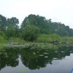 Malchow-Fleesensee-Kölpinsee-141