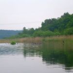 Malchow-Fleesensee-Kölpinsee-168