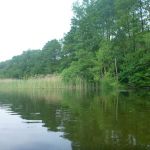 Malchow-Fleesensee-Kölpinsee-172