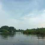 Malchow-Fleesensee-Kölpinsee-174