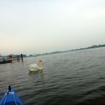 Malchow-Fleesensee-Kölpinsee-181