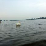 Malchow-Fleesensee-Kölpinsee-182