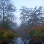 November-auf-der-Warnow-023