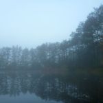 November-auf-der-Warnow-027