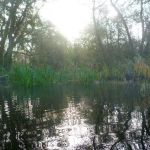 November-auf-der-Warnow-049