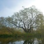 November-auf-der-Warnow-058