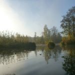 November-auf-der-Warnow-062