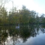 November-auf-der-Warnow-068
