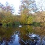 November-auf-der-Warnow-069