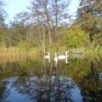 November-auf-der-Warnow-072