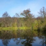 November-auf-der-Warnow-074