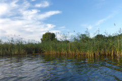 P1010516