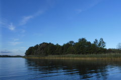 P1010519