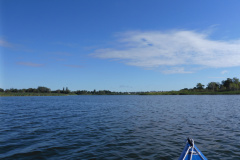 P1010523