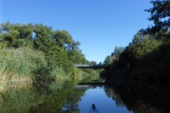 P1010531