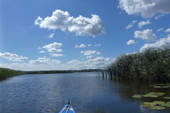 P1010547