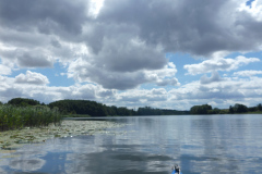 P1010560