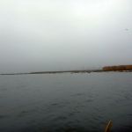 hro1.de-Oktober-Hafenrundfahrt-151