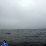 hro1.de-Oktober-Hafenrundfahrt-170