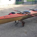 hro1.de - Pine-Marten-2-2-C