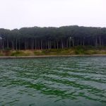 hro1.de-ostsee-heiligendamm-rerik-014