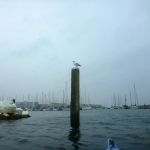 hro1.de-ostsee-heiligendamm-rerik-024