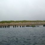 hro1.de-ostsee-heiligendamm-rerik-058