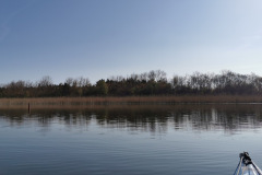 IMG-20220502-WA0000