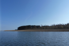 P1010090