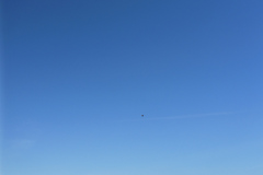 P1010093