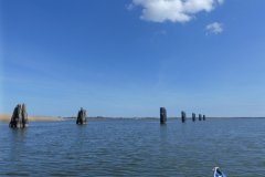 P1010142