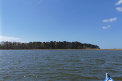 P1010155